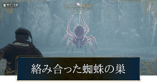 絡み合った蜘蛛の巣