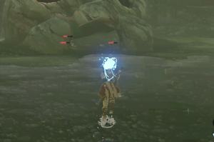 ゼルダBotW＿リモコンバクダン