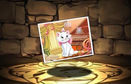 マリー【フォト】