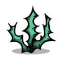 ハッタリいばら