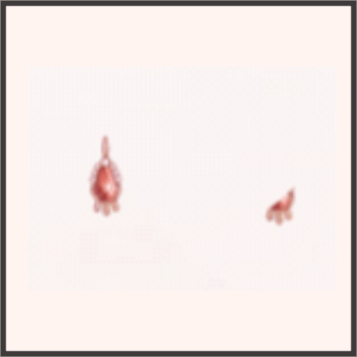 赤石のイヤリング