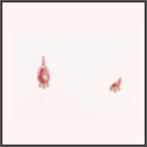 赤石のイヤリング