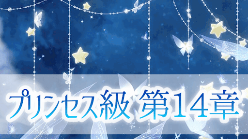 プリンセス級14章