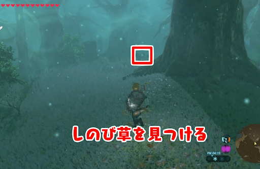 ゼルダBotW_トッチーより先回りして進む12