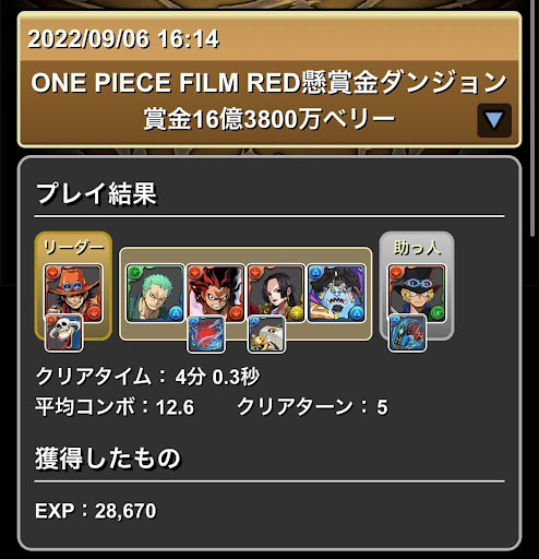 16億3800万ベリー-スキル上げ編成