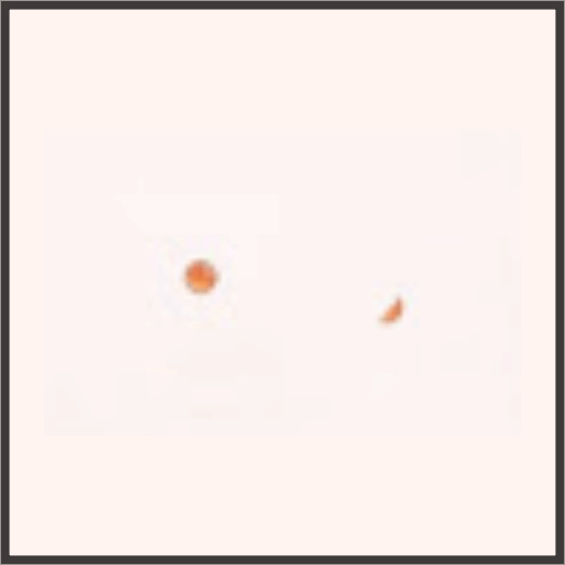 幽玄＜蘭の花＞