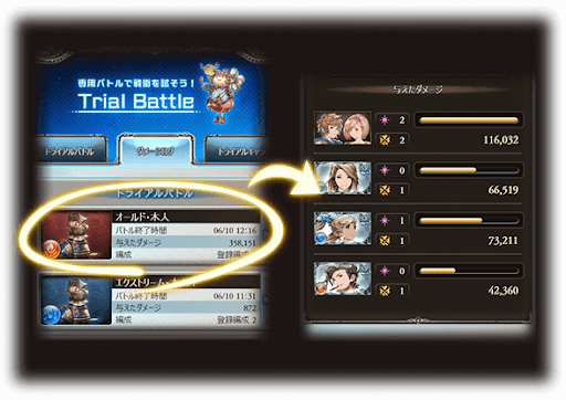 トライアルバトル_ダメージログ