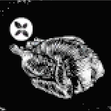 大物狩猟肉(タイム風味)