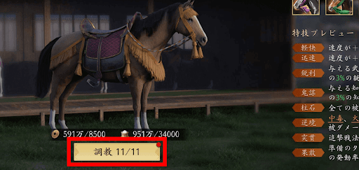 馬牧を訪問すると調教回数が増える