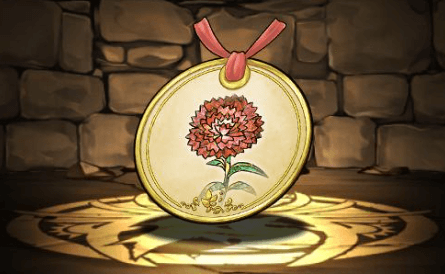 カーネーションの標本