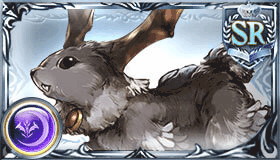 ブラックラビット