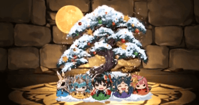 セリカの聖松盆栽