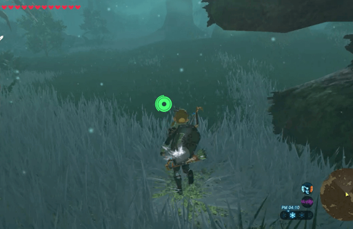 ゼルダBotW_トッチーより先回りして進む11