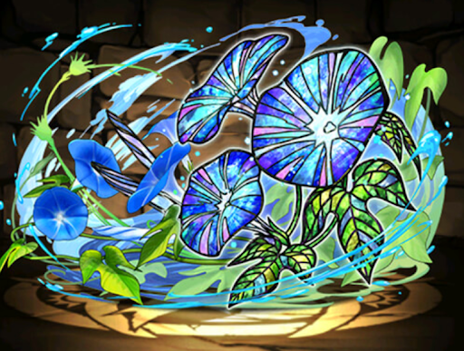 アサガオの星光華