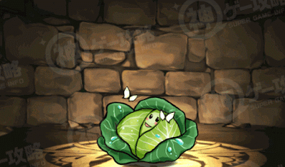 超・嬬恋キャベツ