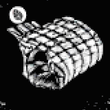 大物狩猟肉(オレガノ風味)