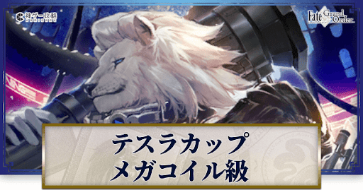 fgo-テスラカップメガ