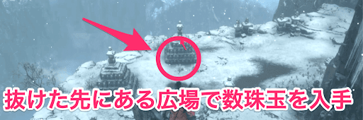 SEKIRO_数珠玉_落ち谷「社下の谷」4