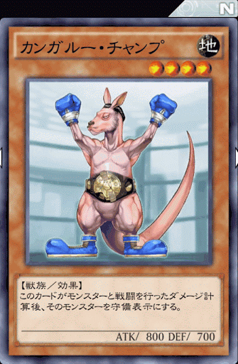 カンガルー・チャンプ