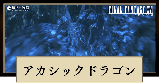 アカシックドラゴン