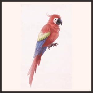 ダイヤのオウム