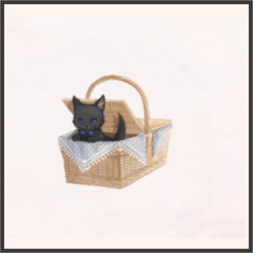 猫の話（邂逅）