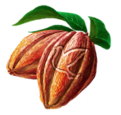 fgo-クークーカカオ