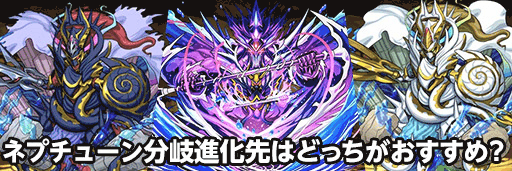 ネプチューン分岐比較