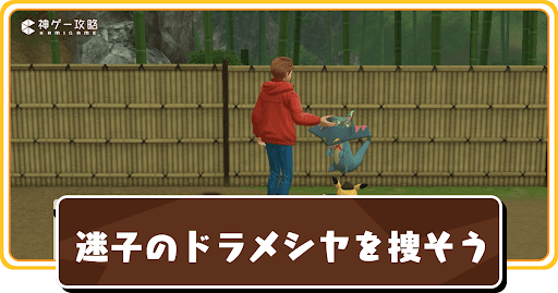 迷子のドラメシヤを捜そう