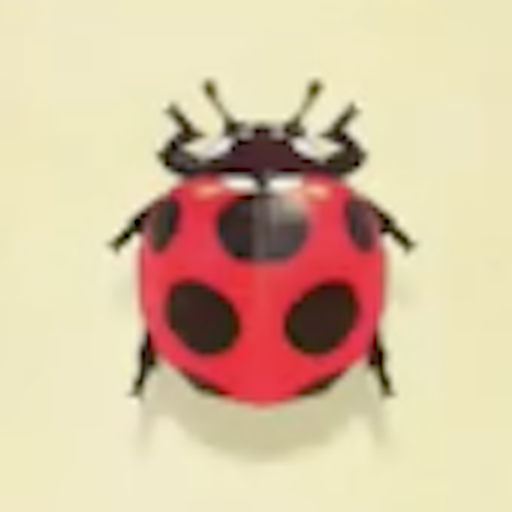 テントウムシの値段と捕まえるコツ