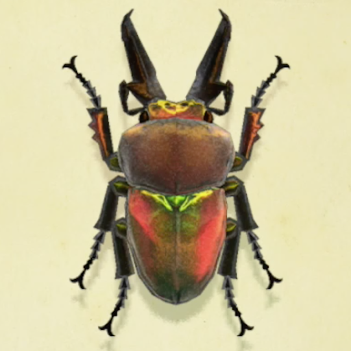 ニジイロクワガタの値段と捕まえるコツ