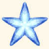 あおいスターフィッシュ