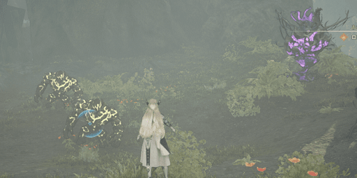 ヴァルキリーエリュシオン_あなたへ捧げる花2_エリア奥