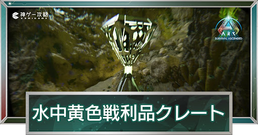 水中黄色戦利品クレート