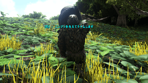 エクウス_テイム