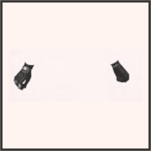 ビロードの手袋