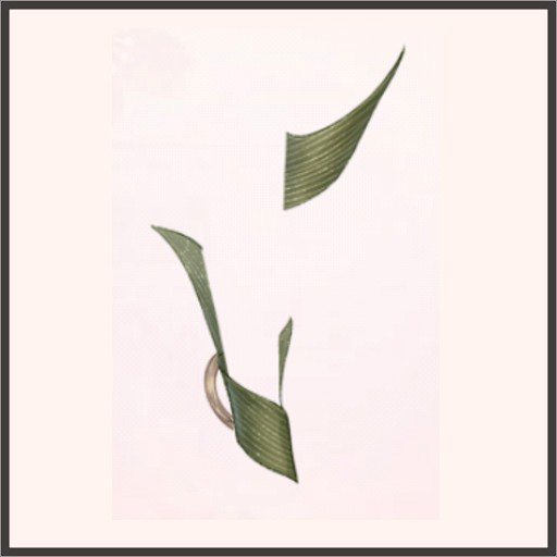 笹の葉のまとわり