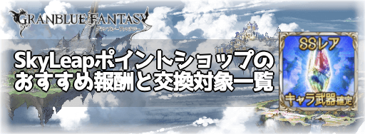 SkyLeapポイントショップ