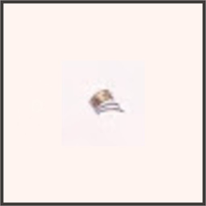 無神のブレスレット