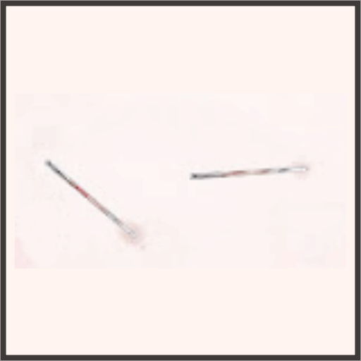 血色のnスティック