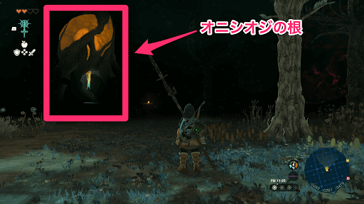 オニシオジの根を調べて周囲を照らす