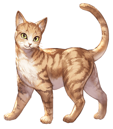 ジンジャーキャット