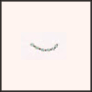 エレナの宝物（輝）