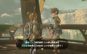 ゼルダBotW＿火打ち石を売る