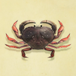 ダンジネスクラブ