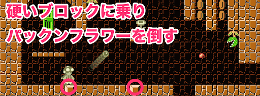 パックンフラワー2