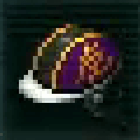 虎のヘルメット