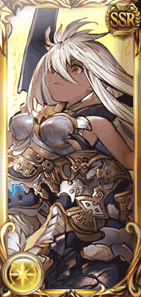 ジ・オーダー・グランデ_縦