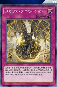 メガリス・プロモーション