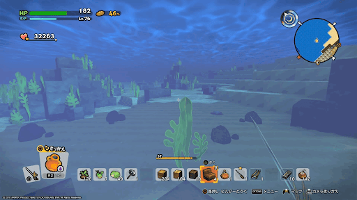 昆布の多い海底